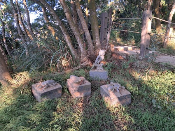 新竹鳳崎落日，司馬庫斯神木群，李崠山步道3131072