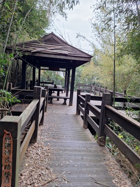 文林古道(鄧雨賢公園起登)202401222696191