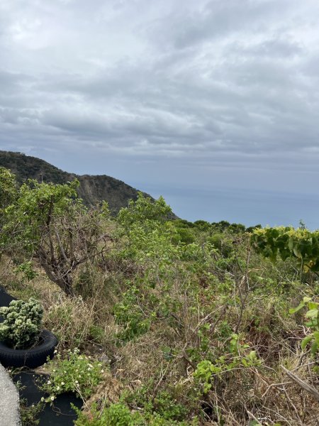 小百岳-里龍山2752572