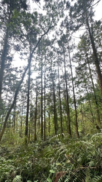 20240419-20松羅湖二天一夜2767344