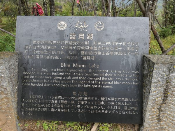 麗江遊-麗江、象山、玉龍雪山、藍月谷450654