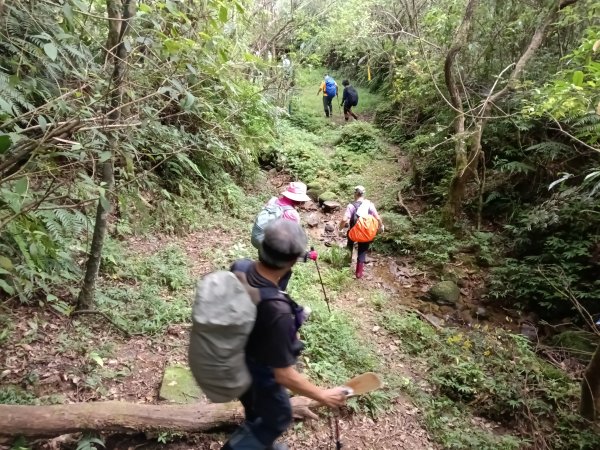 雙溪區大湖尾古道+灣潭古道O型2874803