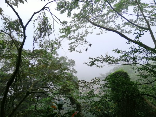 台南東山~山上尋悠。 #65小百岳崁頭山915983