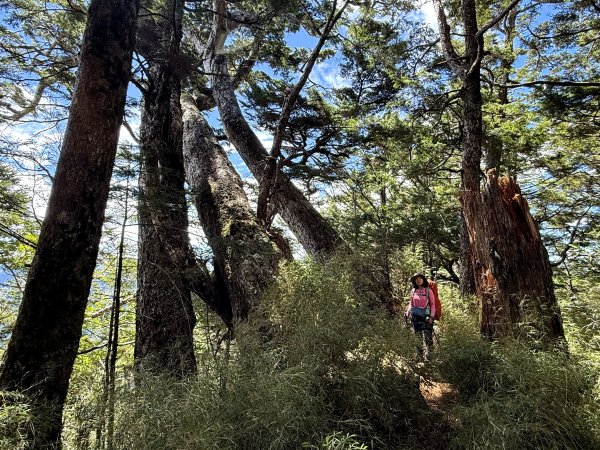 觀雲山莊經小完美谷上畢祿山O繞2917203