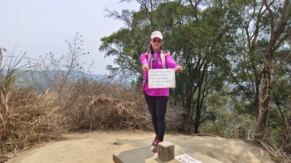 (姨婆趴趴走)第三集:台中新田登山步道、聚興山、大胡山環狀縱走2104962