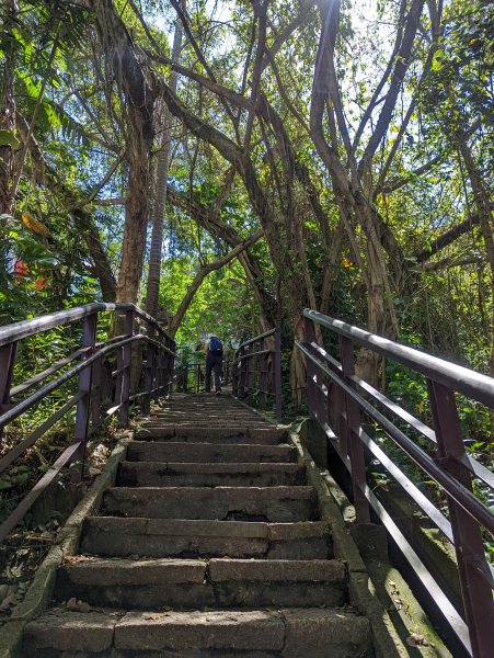 南港山縱走：象山、拇指山、南港山、九五峰1724149