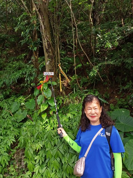 【瑞芳四秀】白象山(又名弘明山)→秀崎山→瑞芳山→龍潭山1651483