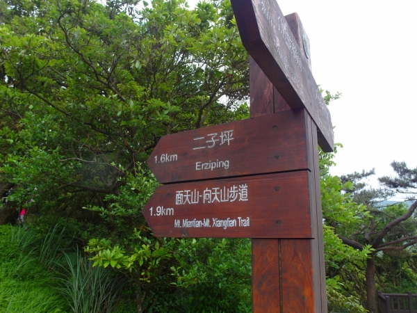 二子坪 面天山 向天山步道 大屯山西峰39741