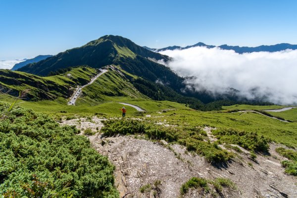 合歡主峰雲海之舞1129375