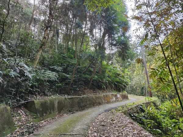 2024.02.17 關西金山2845302