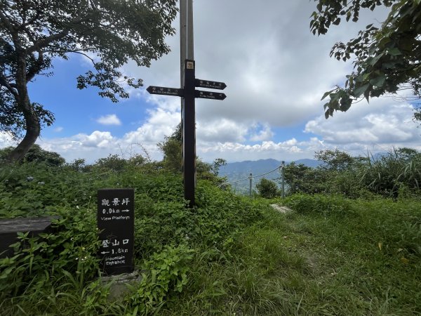 [小百岳] 2024_0706 竹子尖山2546186