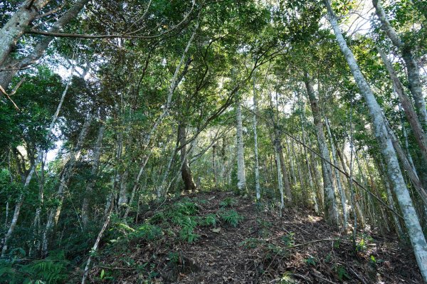 新竹 五峰 清泉山、民都有山2633699