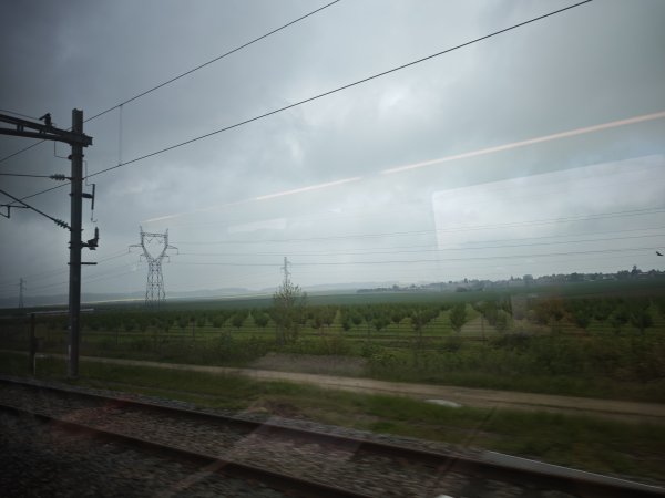 2025_0425 倫敦馬拉松順遊西歐 D7a(巴黎到倫敦-歐洲之星)2793686