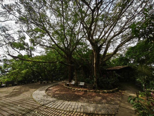 20260126微笑山線烘爐地段2989047