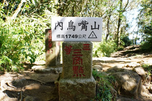 新竹 尖石 內鳥嘴山