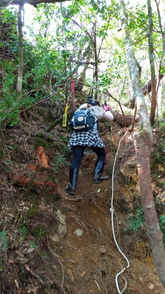 百岳【庫哈諾辛山】1333501