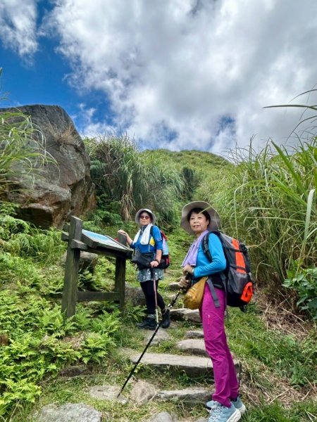 上磺溪橋走魚路古道/金包里城門/擎天崗/冷水坑2872151