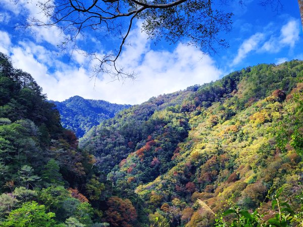 【戀戀楓紅】霞喀羅賞楓行2675612