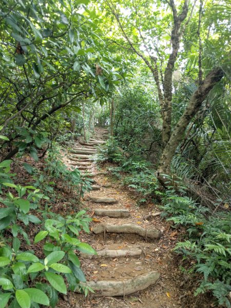 黎和生態公園→富陽自然生態公園→中埔山/東峰→福州山→富陽自然生態公園1438412