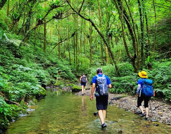 【盛夏避暑勝地】隱藏版淡蘭中路