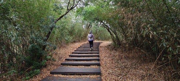 2025/12/27-鄭漢步道2972691