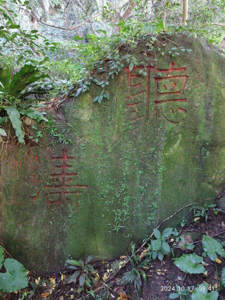 天母→猴洞→湖山→半嶺→第二展望臺→陽峰古道→花田花草集【發現陽明山】2-12629106