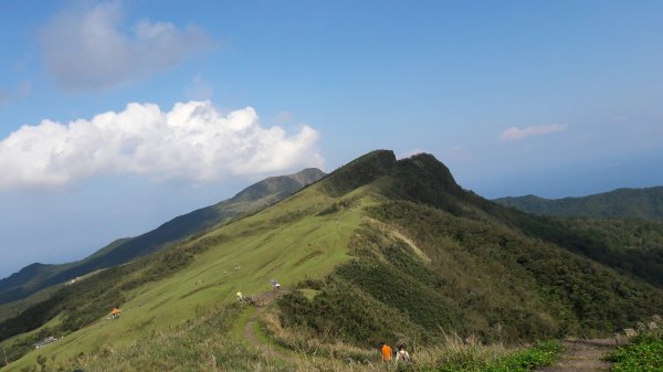 桃源谷(大溪-大里)558514