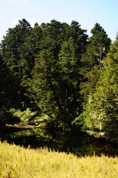 武法奈尾山天巒池872488