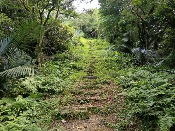 基隆市總督府(嶺)步(古)道-五坑山-五坑湖3038932