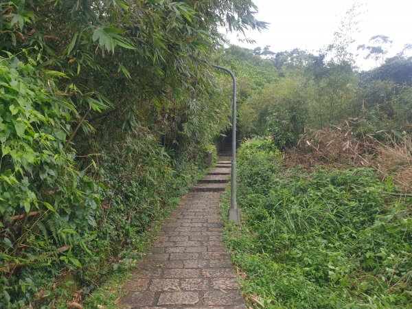 臺北大縱走第六段1516067