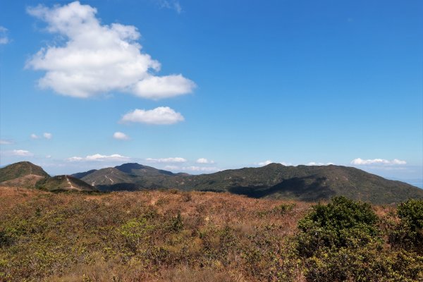 HK - 長山、太墩1458003