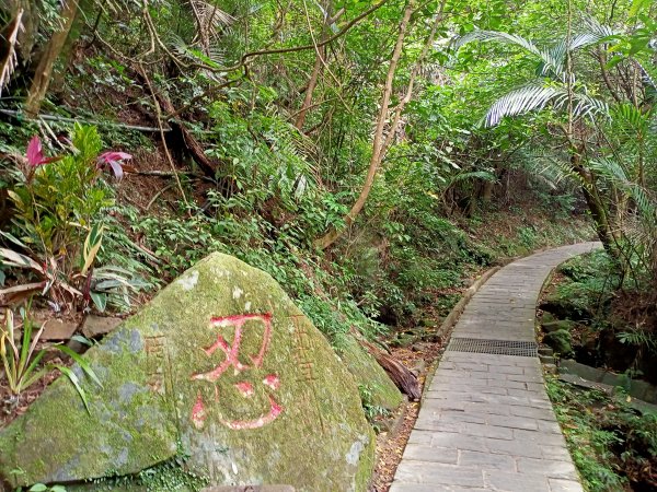 【大內連峰】大湖公園→內溝溪生態步道1727856