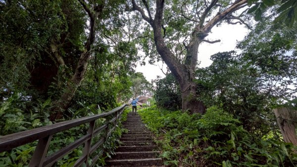 114.08.02劍潭山之小百岳之一2850209