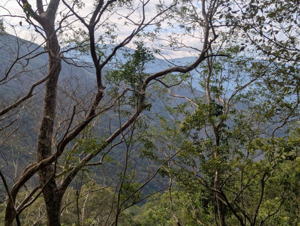 白鷺部落至大武藏山與舊古樓社2782334