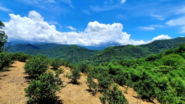 紫微聖母環山步道，土城桐花公園，五尖山，原住民族生態公園，大平紅橋，三坑自然生態公園1746474