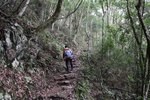 馬崙山封面