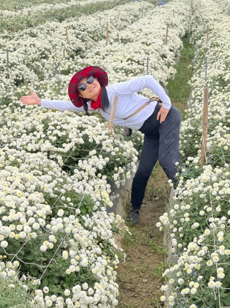 小百岳關刀山889m+銅鑼杭菊1924085