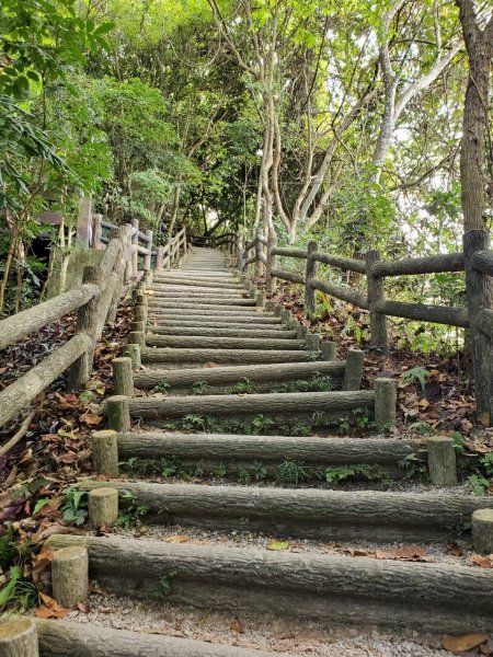 台中大坑頭嵙山697983