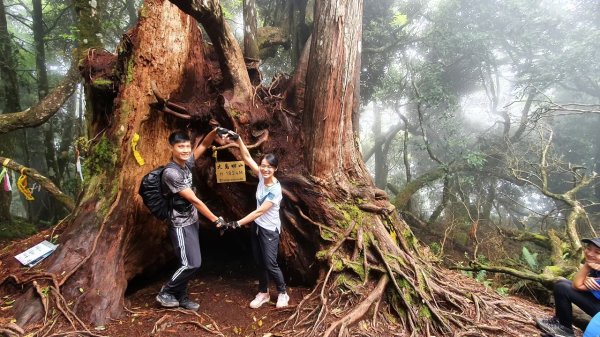 【中級山縱走】高島縱走（高台山，小島田山，中島田山，大島田山）2740973