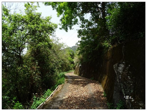 裡冷山、裡冷山南峰 ( 台中、和平 )1645805