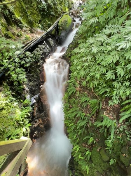 上磺溪橋走魚路古道/金包里城門/擎天崗/冷水坑2872117