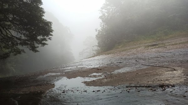 風雨飄搖中的石夢谷、情人谷瀑布步道1134898