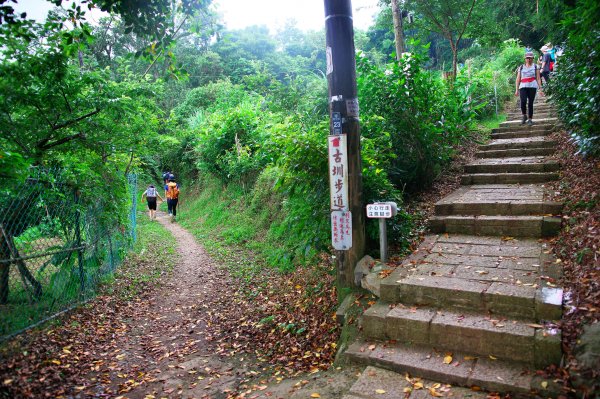 順流而下輕鬆行(內雙溪古道+坪頂舊圳)1001925