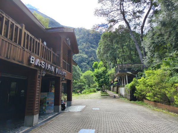 [百山百鳥尋旅-07/15] 2025_0831 八仙山國家森林遊樂區步道群2875962