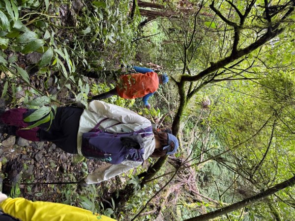 桂山路197巷 》呂奔山北峰 》呂奔山 》阿玉壩2755801
