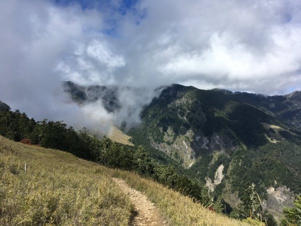 雪山 不下雪533113