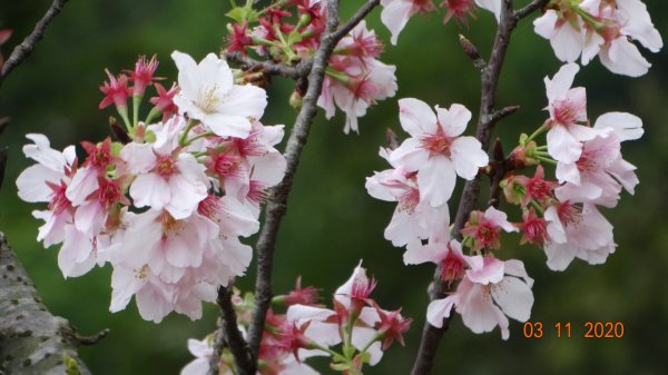 沒有意外，再度槓龜 !876573