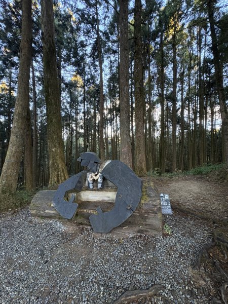 20251225塔山步道(大塔山)2970259