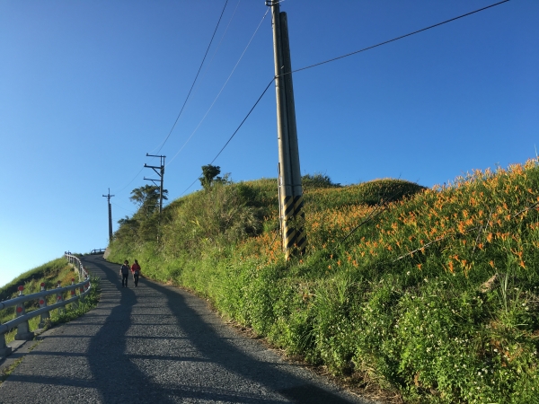 六十石山衝日出 - 金針花海之旅59351