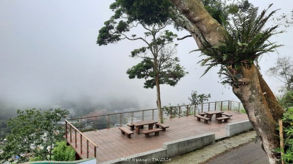 《嘉義》雲霧茶園｜雲嘉三加一連峰O繞202406082520283